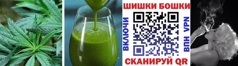 Купить  Новопавловск  Canna-Cookies конопля 