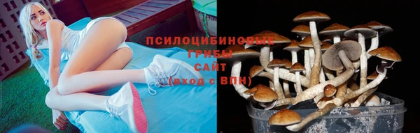 бошки Карпинск