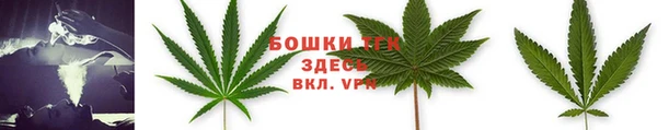 бошки Карпинск