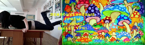 бошки Карпинск