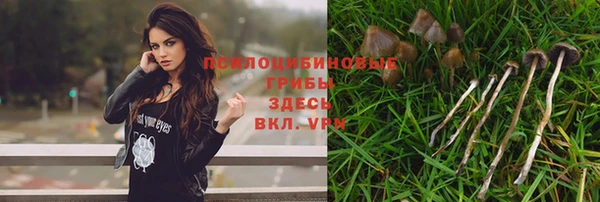 бошки Карпинск