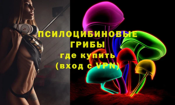 бошки Карпинск